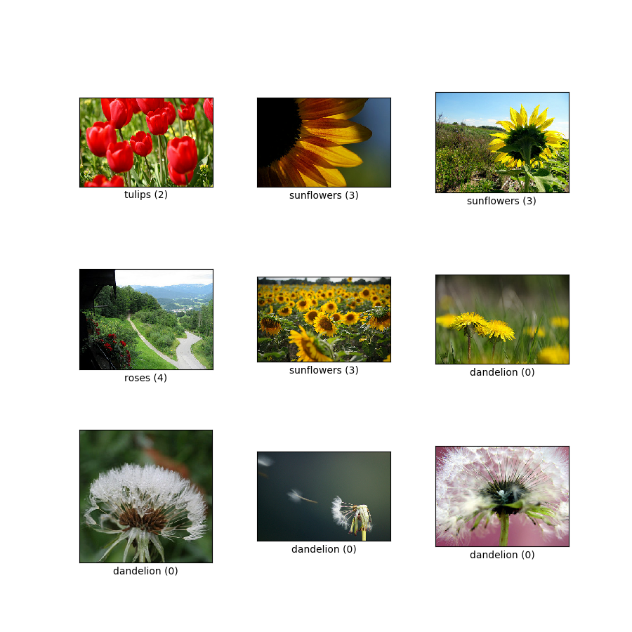 flower_dataset_demo.png